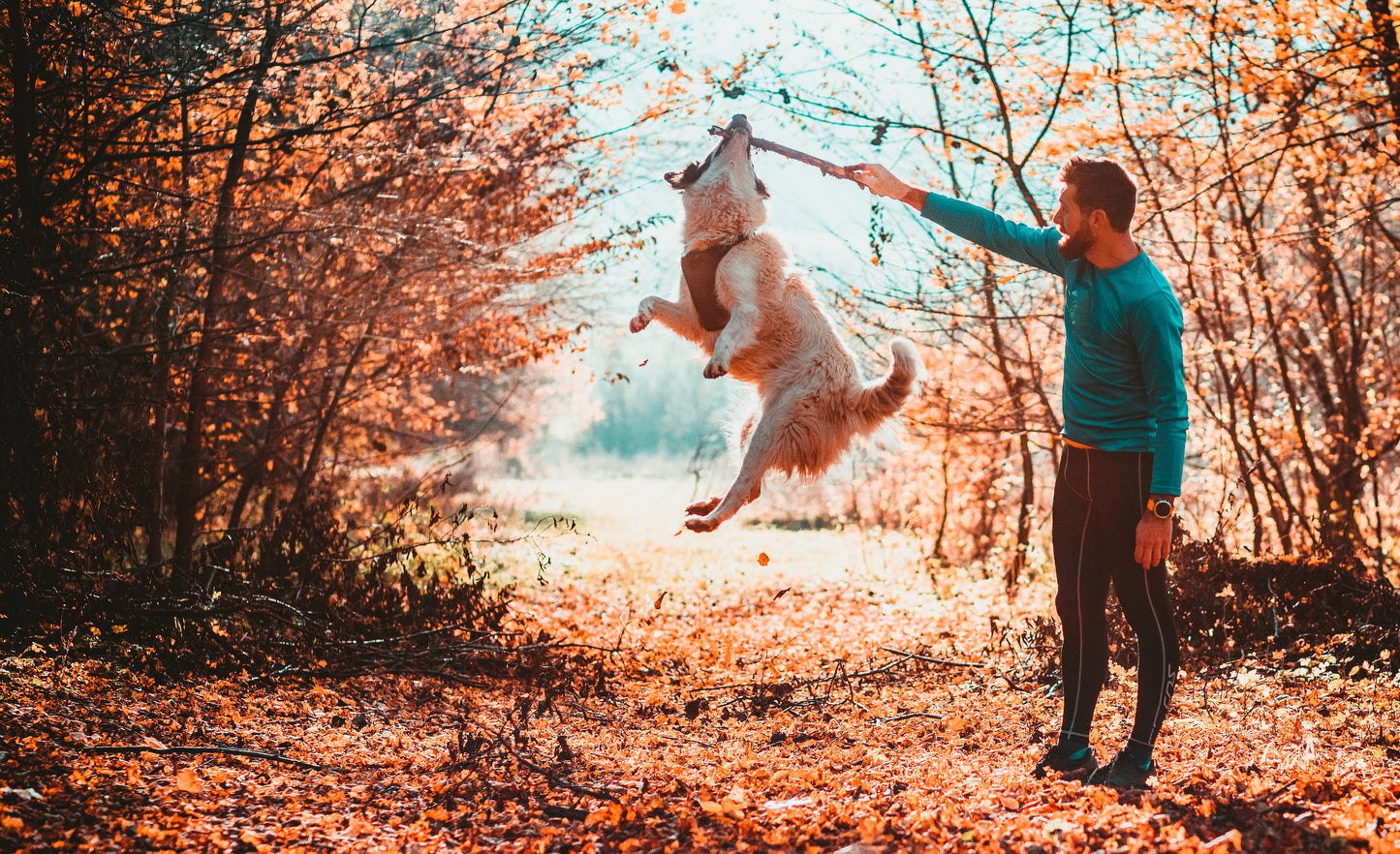 Shampoo alla Achillea "Linea manti impuri con forfora"